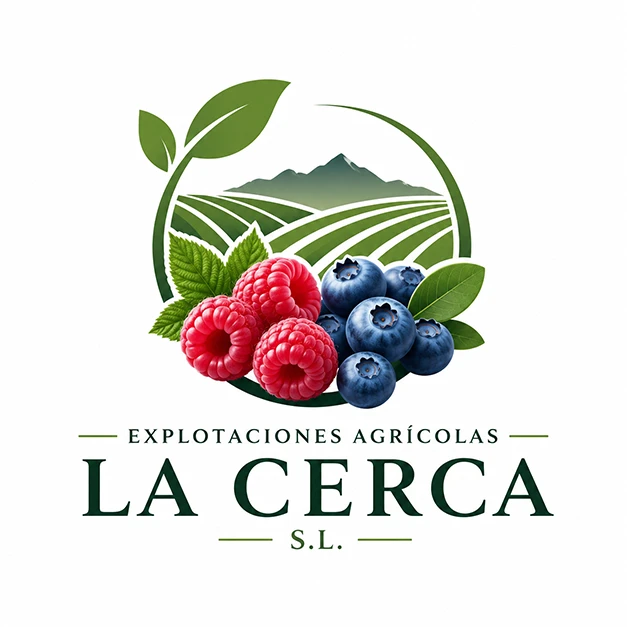 lacerca